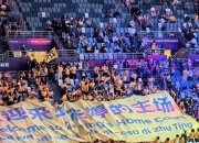 激动人心的比赛即将打响，球迷们备受期待的简单介绍